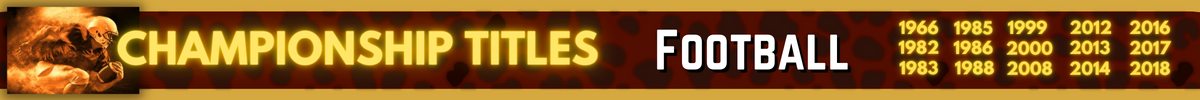 Championship Banner