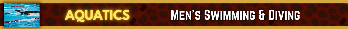 Championship Banner