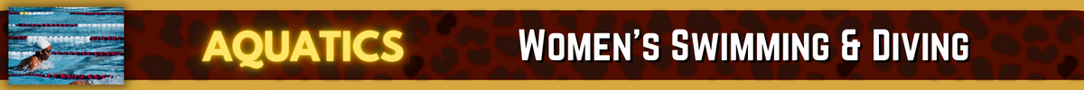 Championship Banner