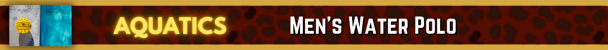 Championship Banner