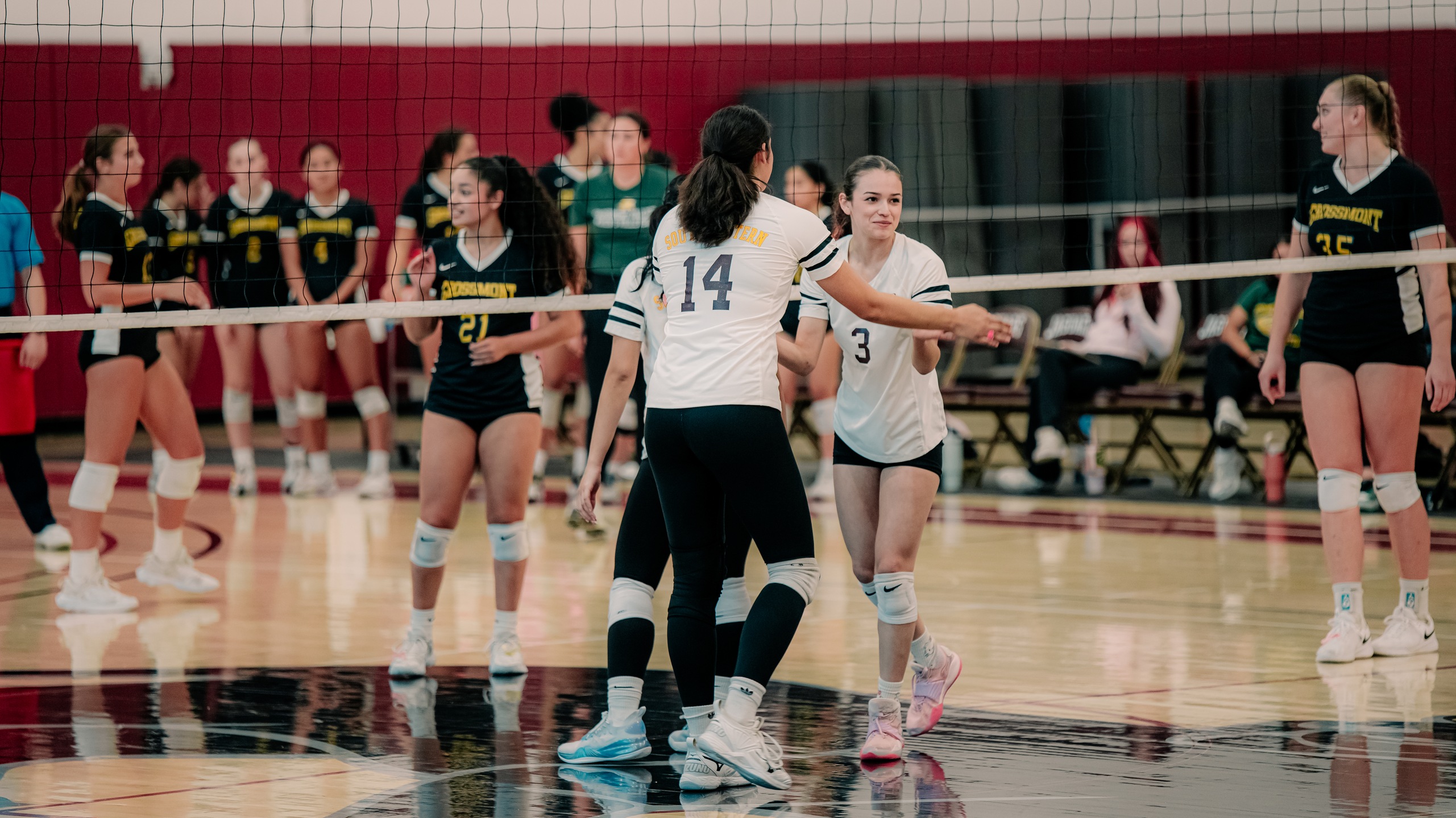 Women Volleyball vs Grossmont